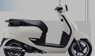 新大洲本田摩托报价 新大洲本田摩托报价