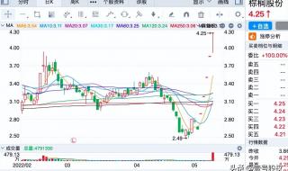 涨幅最大的股票 涨幅最大的股票