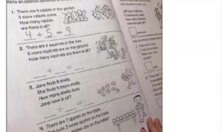 幼升小试题 幼升小试题