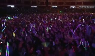 刘德华2010年演唱会 刘德华2010年演唱会