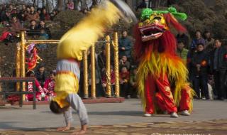 舞狮子表演 舞狮子表演