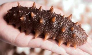 年轻的姨妈7 年轻的姨妈7