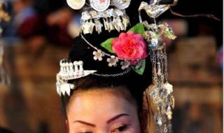 小黄狗的窝 小黄狗的窝