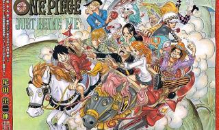 海贼王熊猫 海贼王熊猫