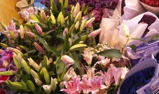 玫瑰花的葬礼吉他谱