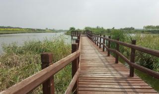 西青郊野公园 西青郊野公园