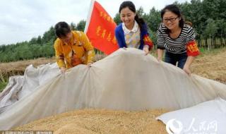 安徽大学生村官待遇