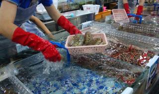 三亚吃海鲜的地方