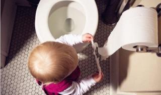 乳铁蛋白奶粉哪个好